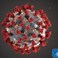 Coronavirus