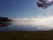 Marine Fog over City Lake