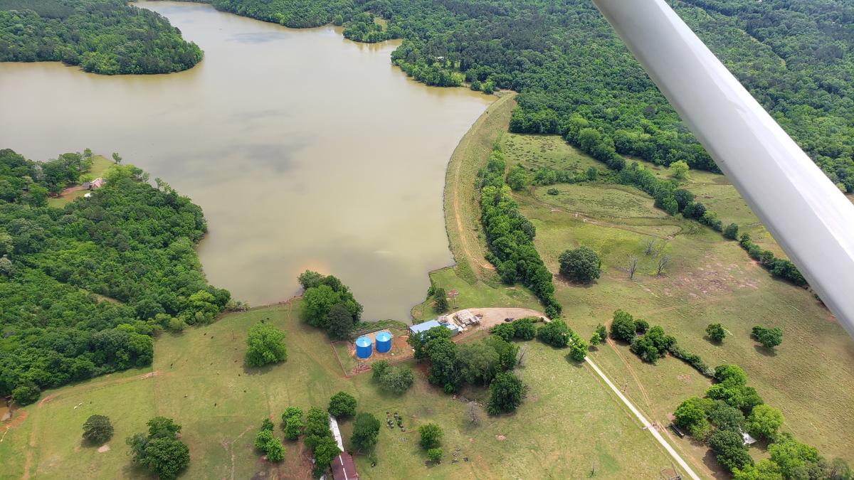 Water Plant at City Lake